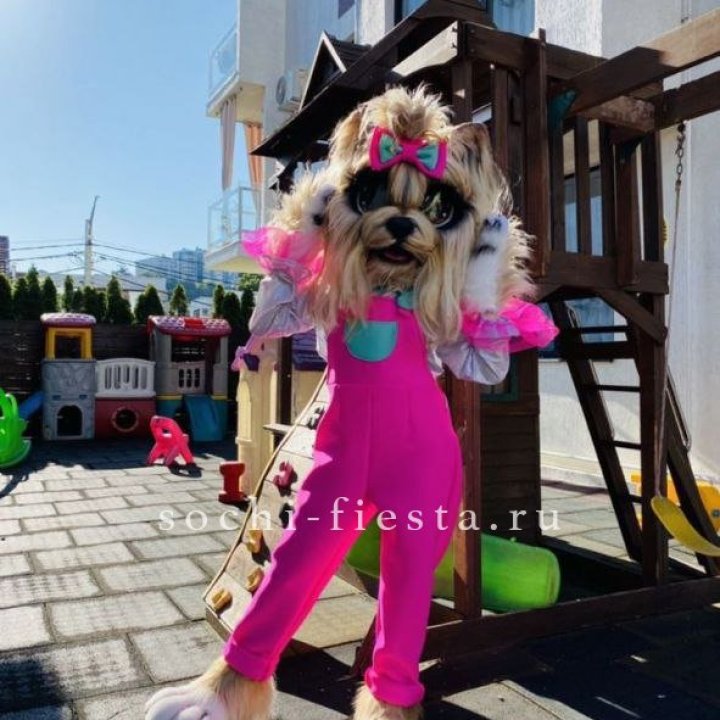 Аниматор Гламурная Собака в Долгопрудном