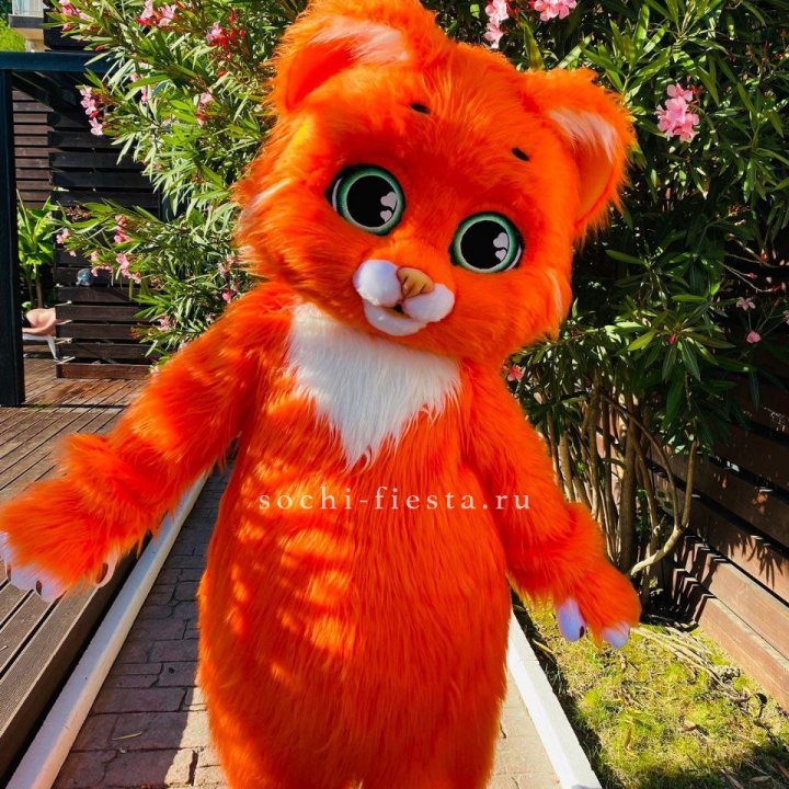 Аниматор Котик в Долгопрудном