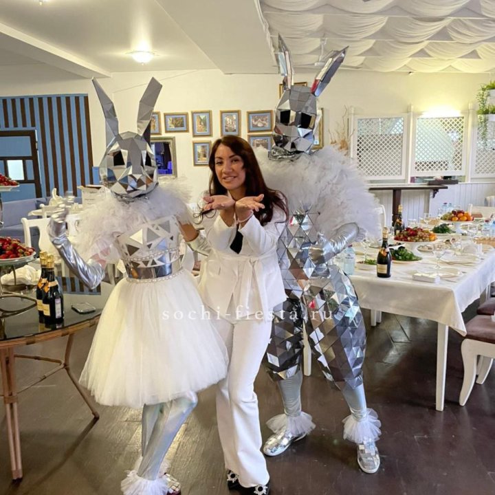 Аниматор Зеркальный заяц в Долгопрудном