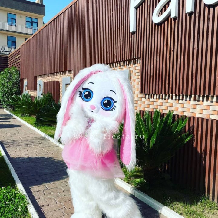 Аниматор Зайка в Долгопрудном