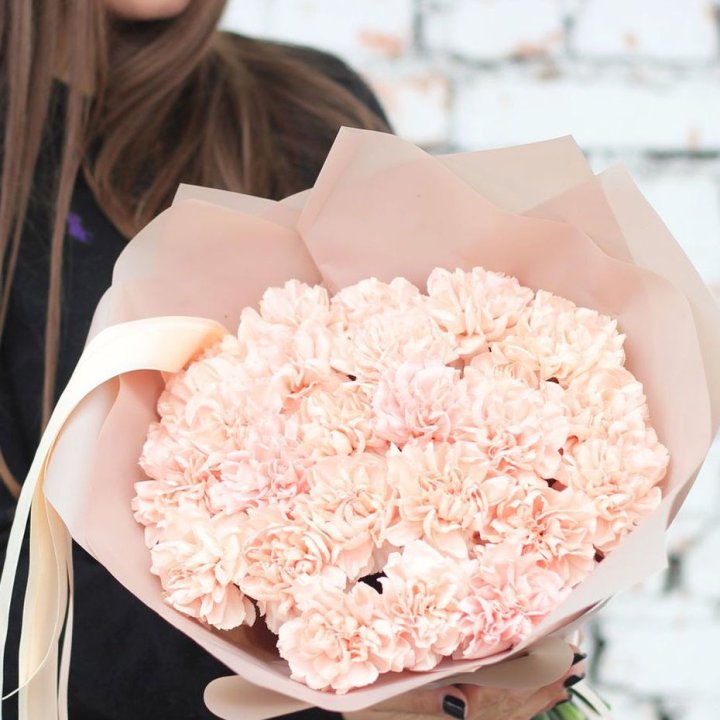 Диантусы №2 в Долгопрудном