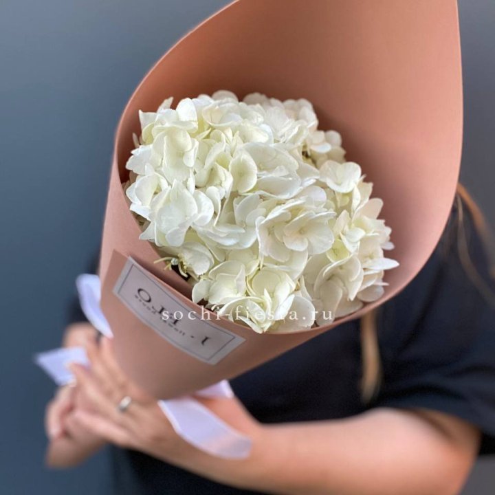 Гортензия в конверте в Долгопрудном