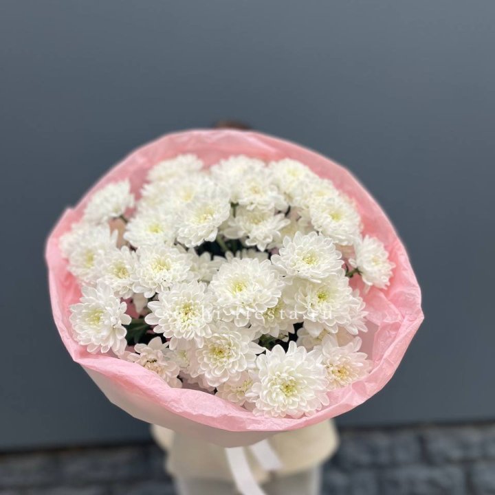  5 хризантем  с доставкой в Долгопрудном