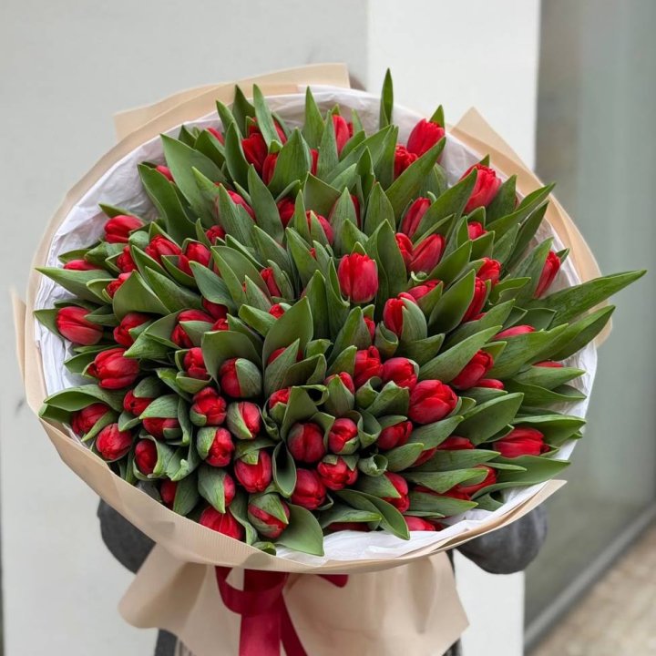 101 красный тюльпан в Долгопрудном