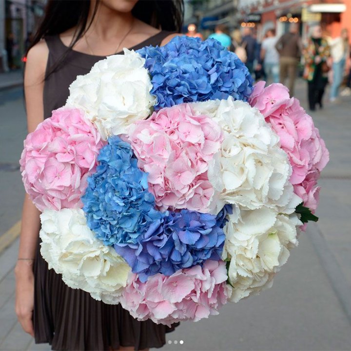 Букет гортензий "Инь-Янь" в Долгопрудном