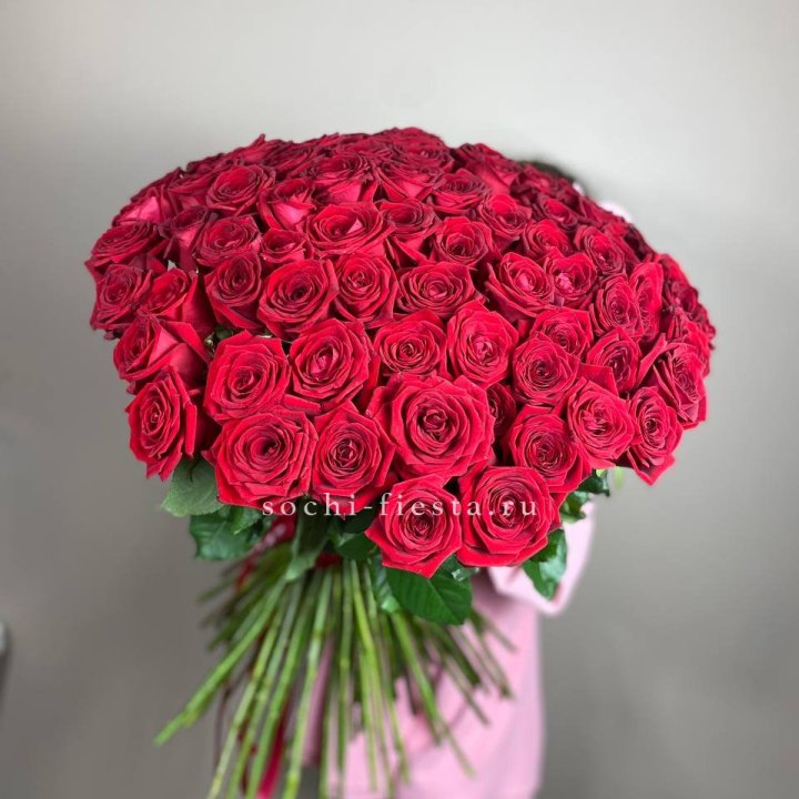 101  голландская роза  в Долгопрудном