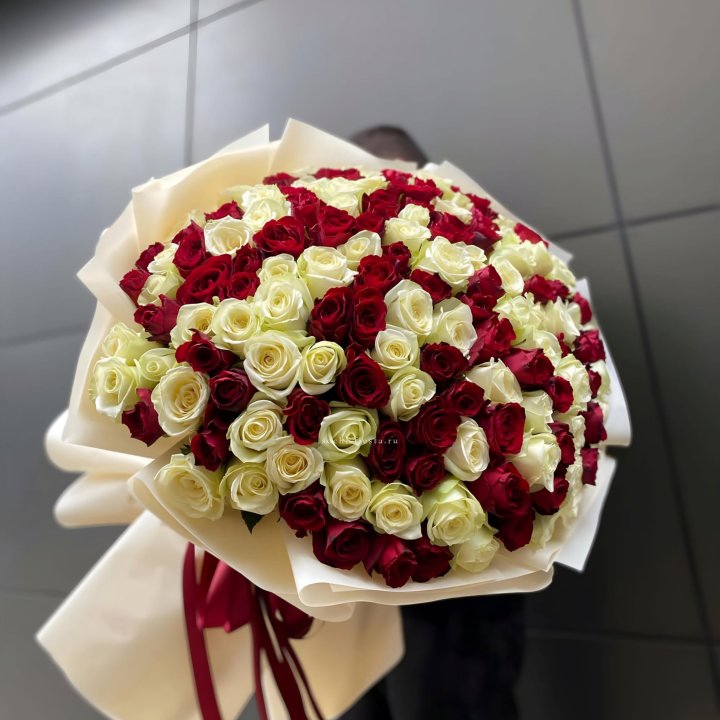 101 высокая импортная роза  в Долгопрудном