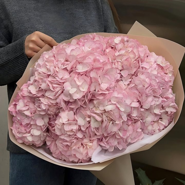 Гортензия  "РОЗЕ" в Долгопрудном