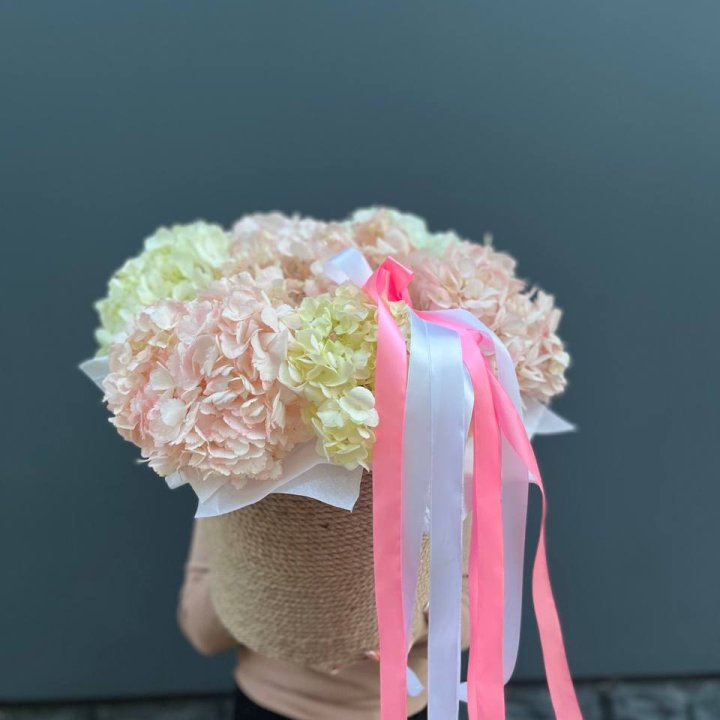 7 гортензий в кашпо в Долгопрудном