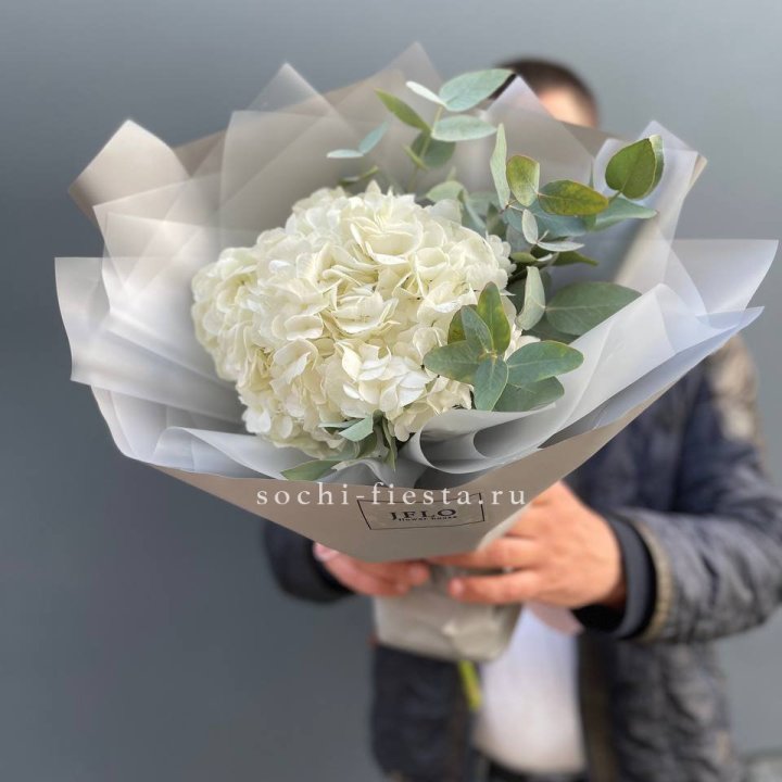  Букет  из белой гортензии в Долгопрудном