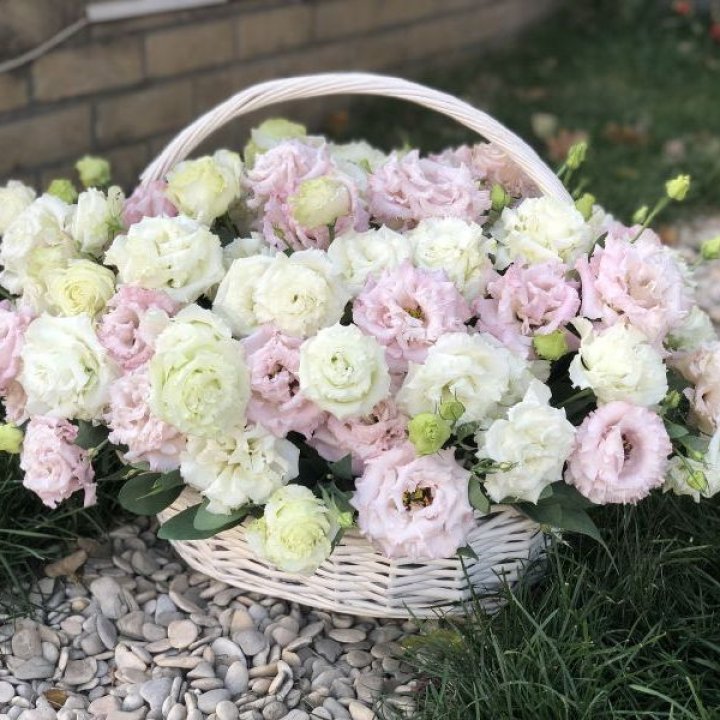 Корзина с эустомой в Долгопрудном