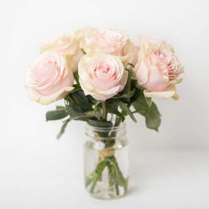 7 кремовых роз в Долгопрудном