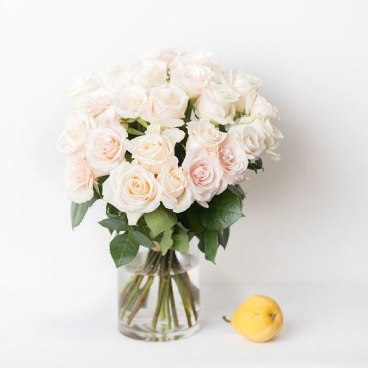 25 кремовых роз в Долгопрудном