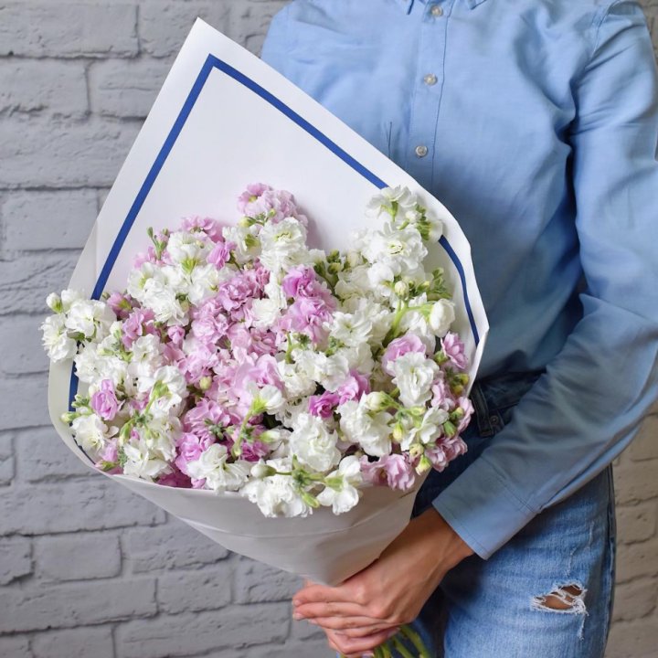 Маттиола в Долгопрудном