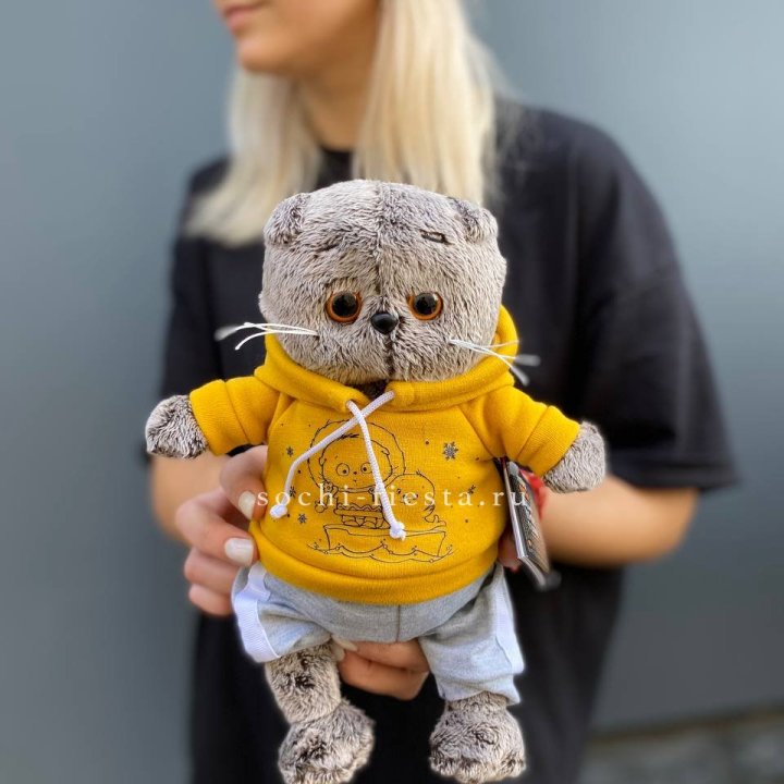 Кот Басик в худи в Долгопрудном