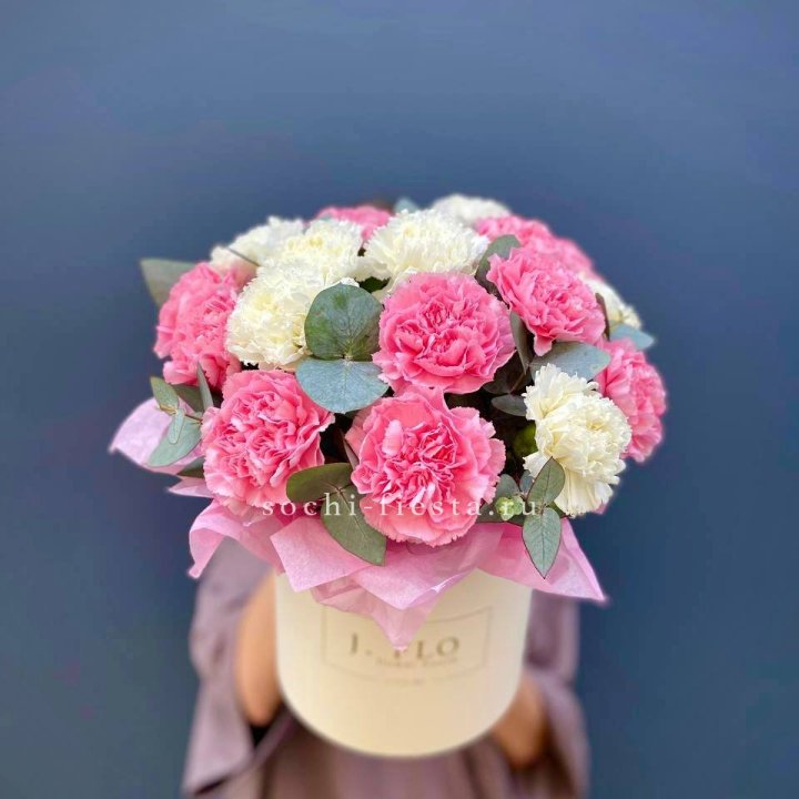 Диантусы в цилиндре в Долгопрудном