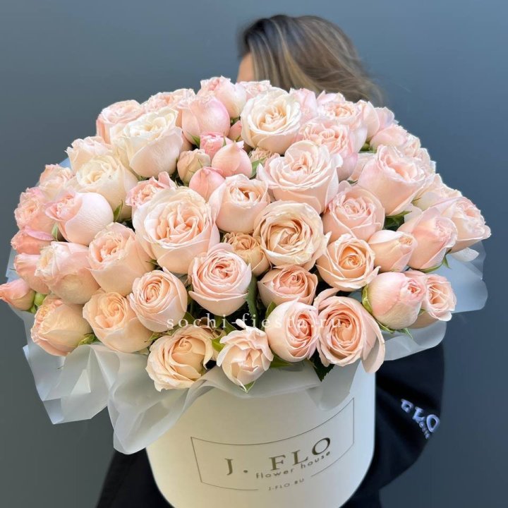 Бомбастик бокс Премьер в Долгопрудном