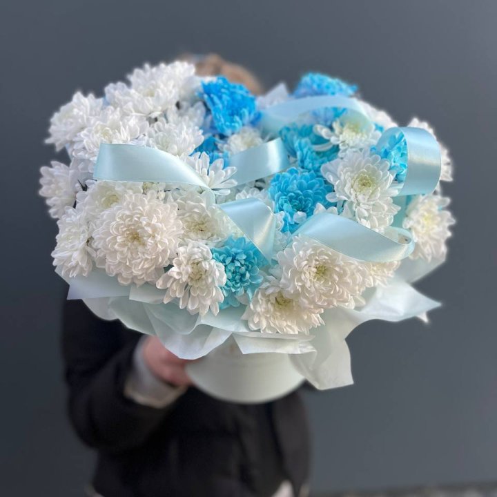 Хризнтемы в боксе в Долгопрудном