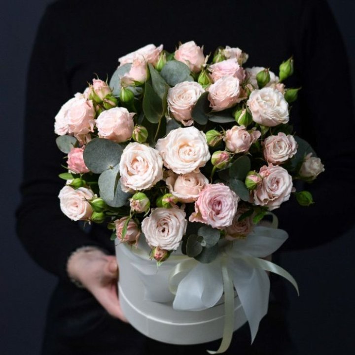 Бомбастик бокс №2 в Долгопрудном