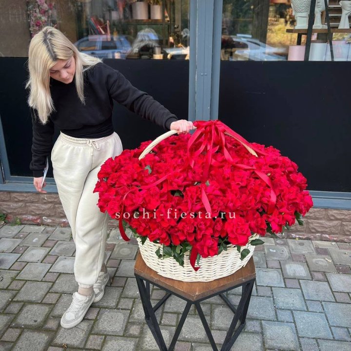 201 французская красная роза в Долгопрудном