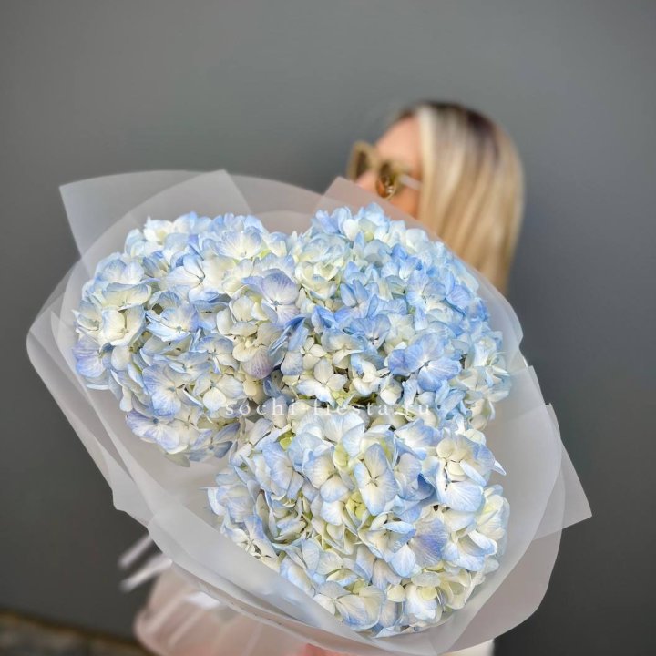 Букет из 3 голубых гортензий  в Долгопрудном