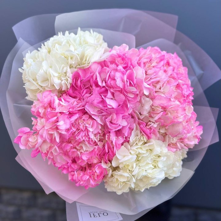 5 бело-розовых гортензий в Долгопрудном