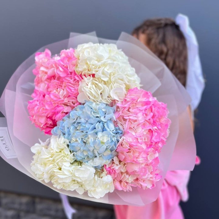 7 гортензий микс в Долгопрудном