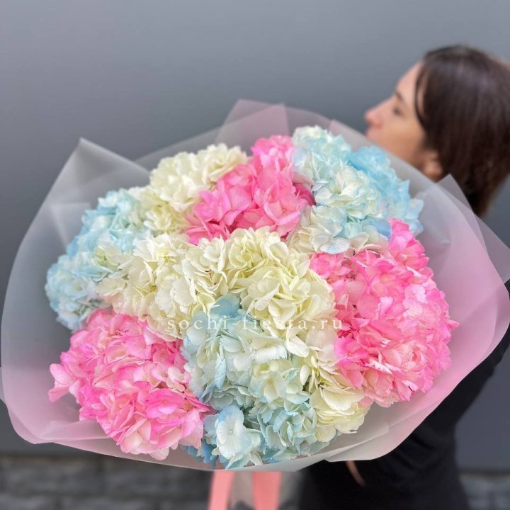 9 гортензий микс в Долгопрудном