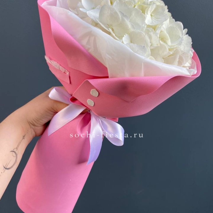 Гортензия в розовом пиджаке в Долгопрудном