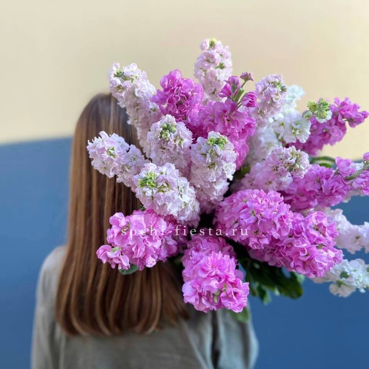 Охапка маттиолы в Долгопрудном