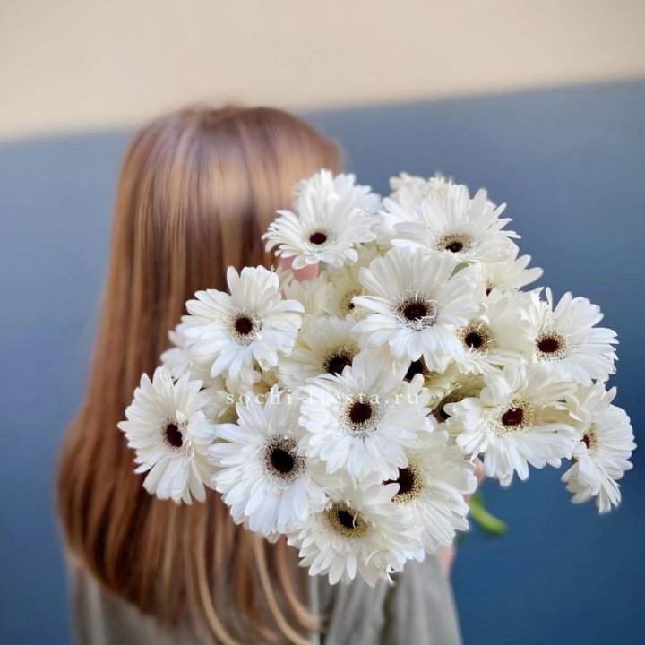 Охапка гербер в Долгопрудном