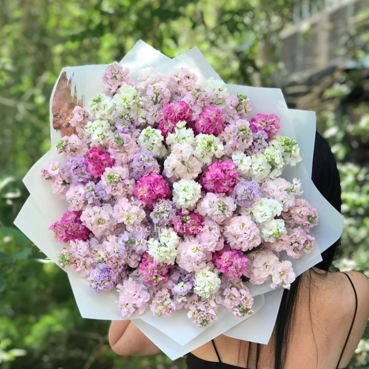 Букет ароматной маттиоллы №3 в Долгопрудном