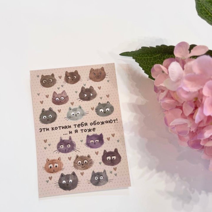 Открытка к букету "Котики" в Долгопрудном