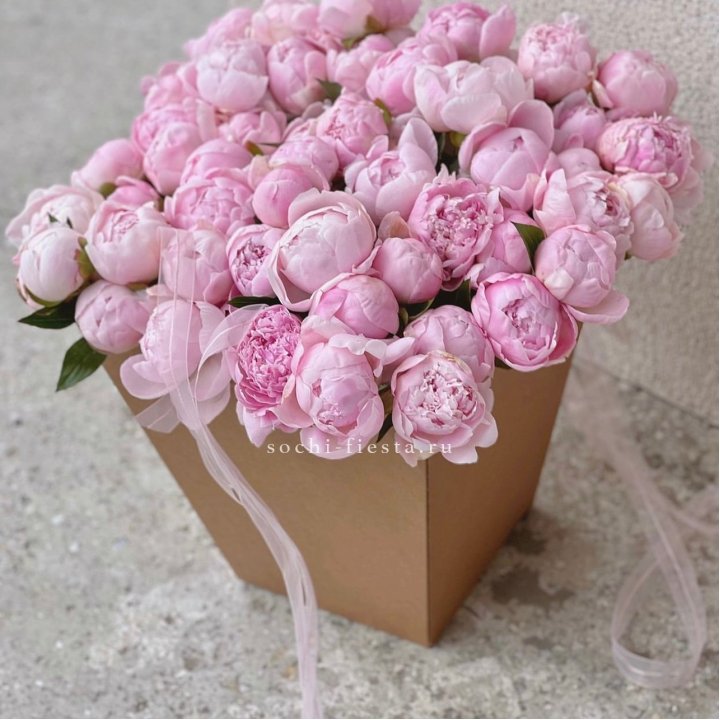 49 пионов в крафт коробке в Долгопрудном