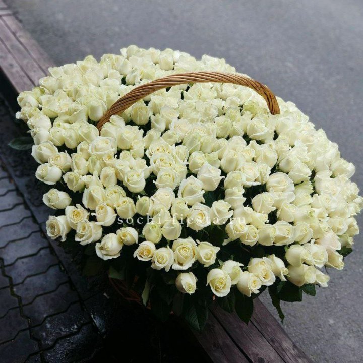 303 розы в корзине в Долгопрудном