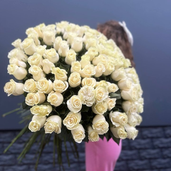 101 белая высокая импортная роза под ленту в Долгопрудном