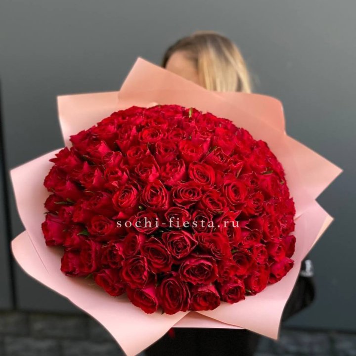 101 роза мадам ред в Долгопрудном
