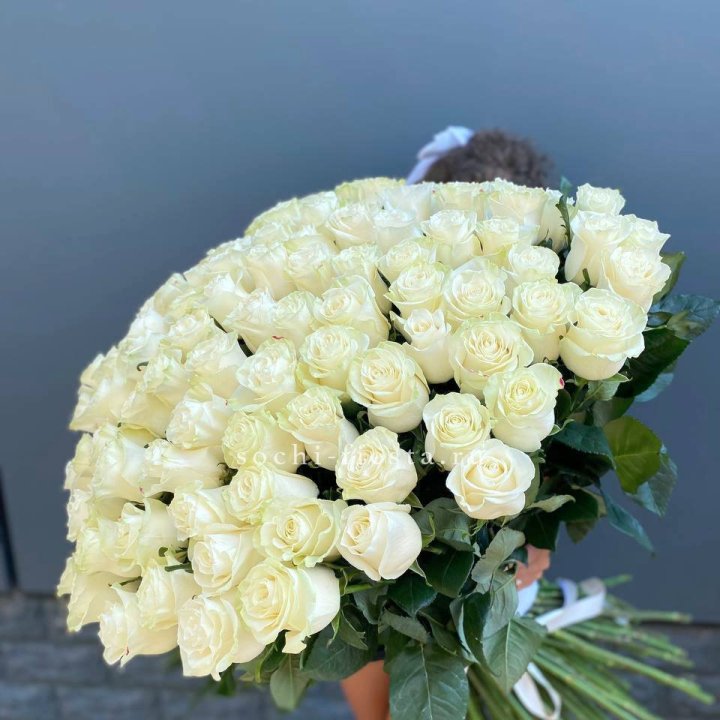 101 белая высокая роза в Долгопрудном