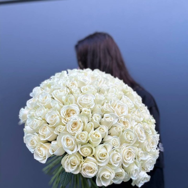 Охапка из 101 белой розы  в Долгопрудном