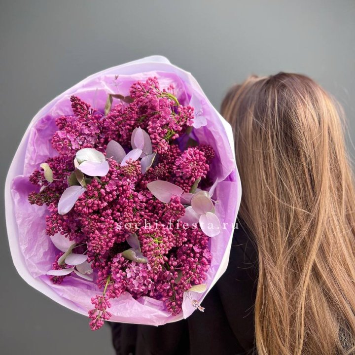 Букет сирени  в Долгопрудном