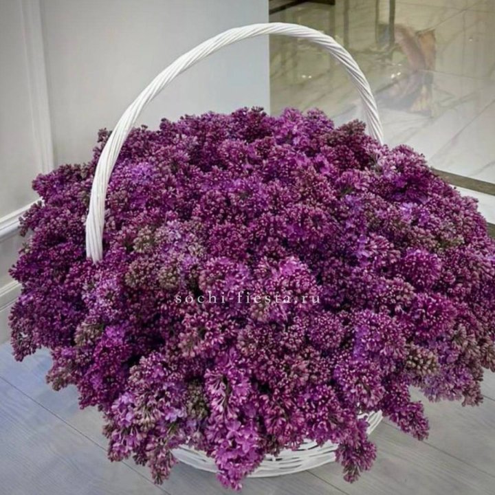 Корзина сирени в Долгопрудном