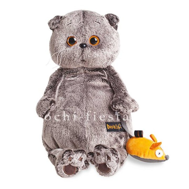 Кот Басик с мышкой в Долгопрудном