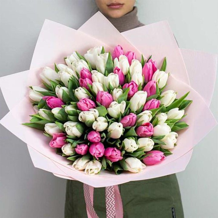 61 бело-розовый тюльпан в Долгопрудном