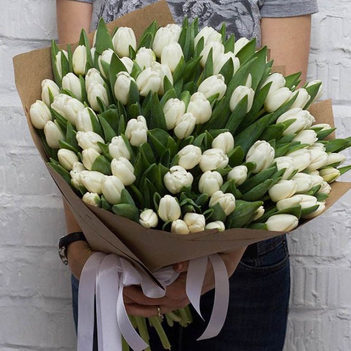 101 тюльпан сноу в Долгопрудном