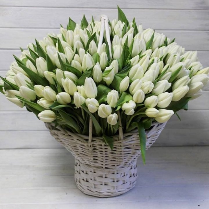 Корзина из 151 тюльпана в Долгопрудном